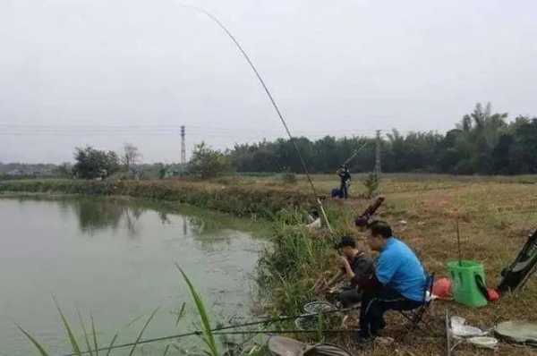 立秋以后钓鱼怎么样，立秋后钓鱼钓鱼怎么选择钓位！-图2