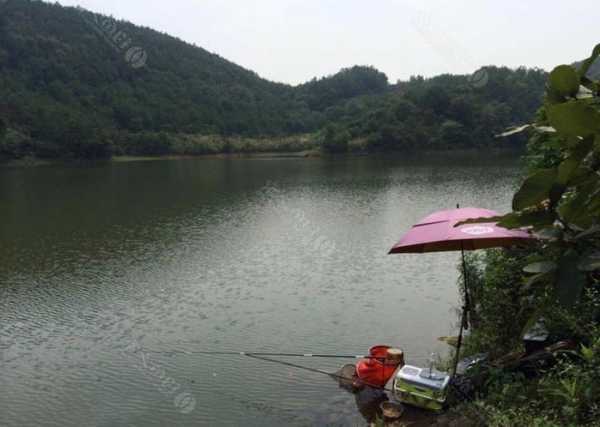 肇庆下雨钓鱼怎么样，肇庆野钓地点！-图3