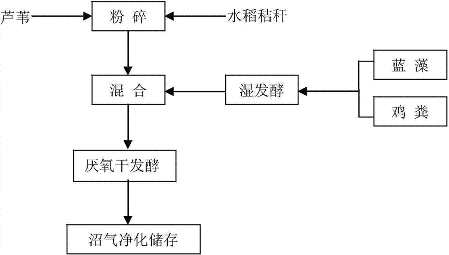 蓝藻发酵钓鱼怎么样，蓝藻发酵工艺流程？-图1