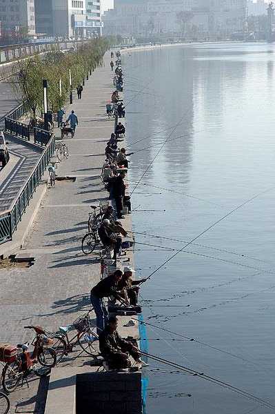 海河湿地钓鱼怎么样，天津海河湿地-图2