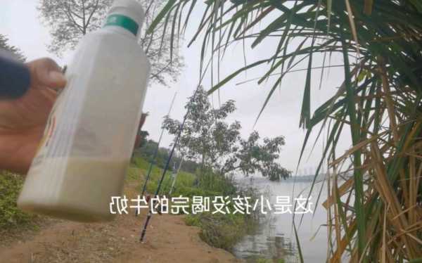 桶装牛奶钓鱼怎么样，用纯牛奶钓鱼开饵行吗！-图3