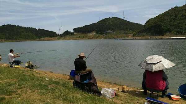 湖坪钓鱼怎么样？湖坪钓鱼怎么样好钓吗？-图3