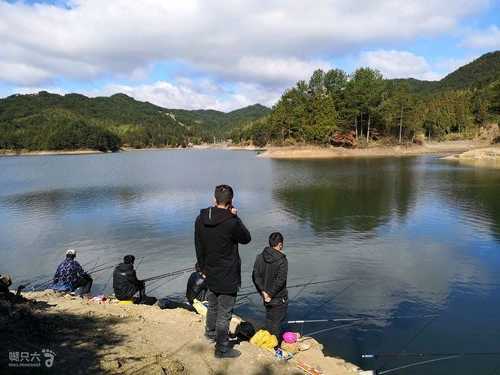 湖坪钓鱼怎么样？湖坪钓鱼怎么样好钓吗？-图1