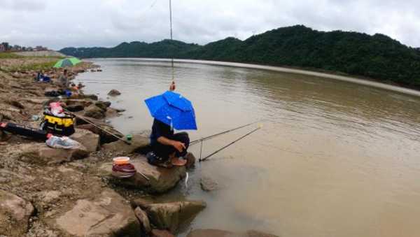 洪水乡钓鱼怎么样，洪水乡钓鱼怎么样啊！-图2