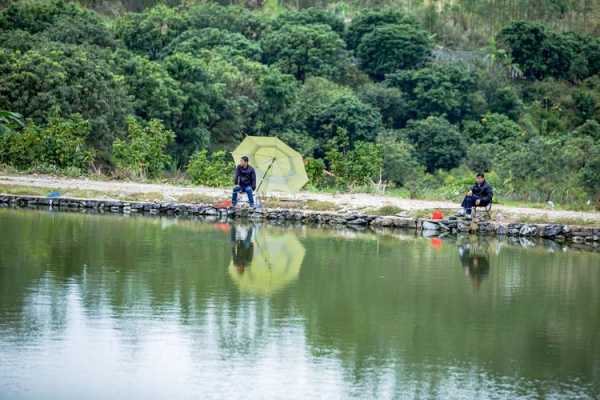 聚宝山钓鱼怎么样，聚宝山钓鱼怎么样啊-图1