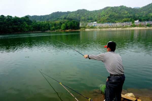 湖北钓鱼环境怎么样？湖北钓鱼环境怎么样好钓吗？-图1