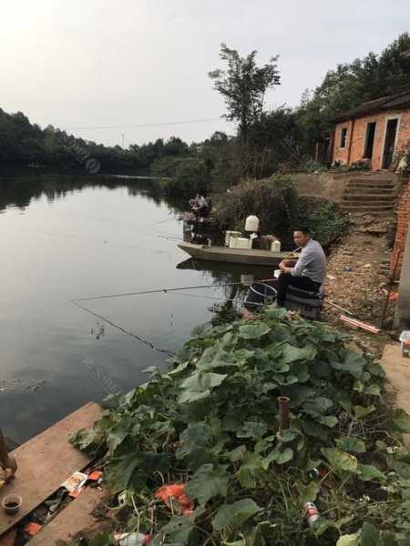 湖北钓鱼环境怎么样？湖北钓鱼环境怎么样好钓吗？-图3