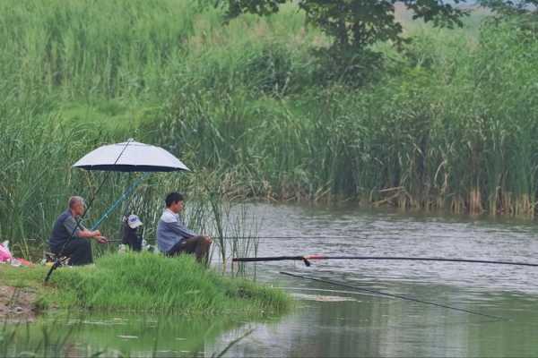 赣榆湿地钓鱼怎么样，赣榆湿地钓鱼怎么样啊？-图2