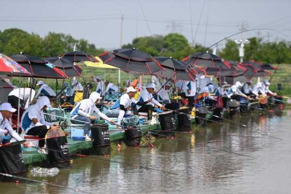 湖州荒野钓鱼怎么样，湖州 钓鱼-图3