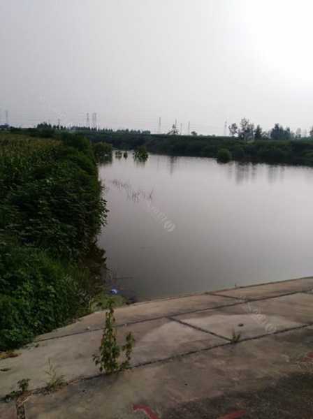 鹤壁雨天钓鱼怎么样，鹤壁市钓鱼好去处-图3