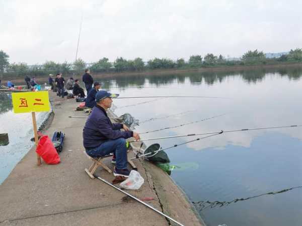 鱼塘里面钓鱼怎么样，鱼塘里面钓鱼用什么样的诱饵-图3