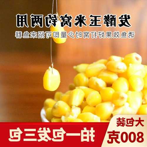 发酵玉米钓鱼怎么样，发酵玉米钓鲤鱼草鱼好用吗-图1