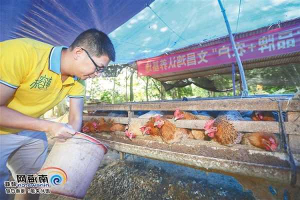 文昌小猫钓鱼怎么样，文昌 钓鱼-图2