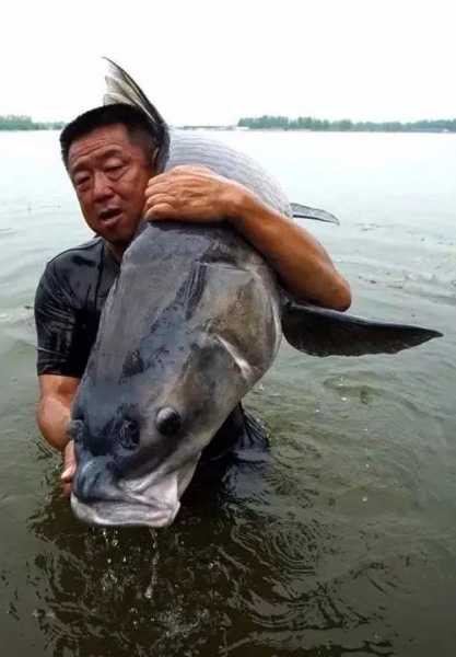 大师钓鱼卖货怎么样，大师野钓-图2