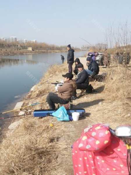 除夕摆摊钓鱼怎么样？除夕摆摊钓鱼怎么样好钓吗？-图2