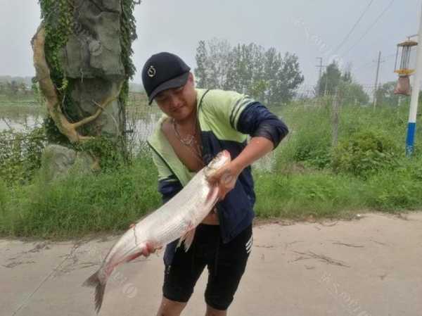 江苏沛县钓鱼怎么样，沛县钓鱼吧-图3