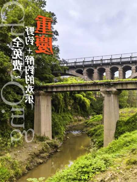 苏家屯公园钓鱼怎么样，苏家屯附近有什么河免费钓鱼！-图2