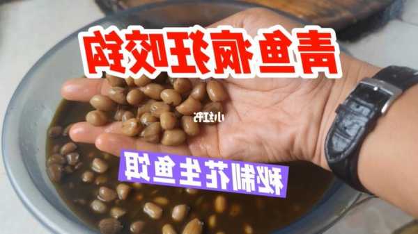 青鱼钓鱼大师怎么样，青鱼钓法及饵料配方？-图1