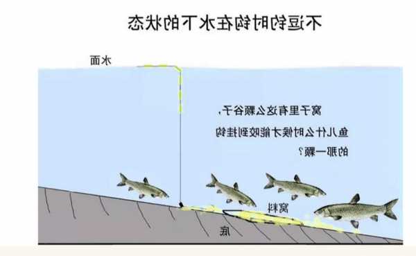 谷子大师钓鱼怎么样？谷子钓法线组图解？-图3