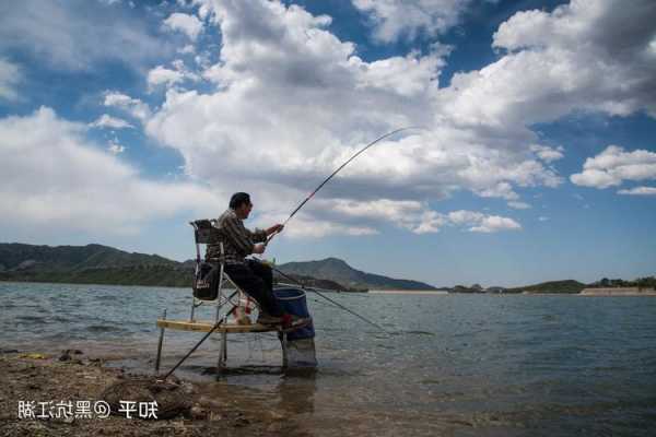 钓鱼行业前景怎么样，钓鱼行业前景怎么样知乎！-图2