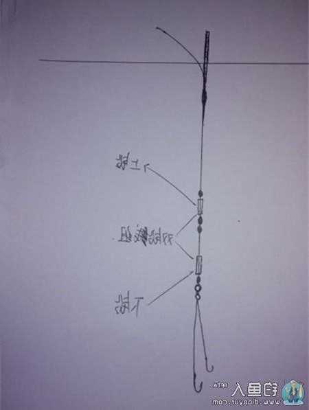 钓鱼怎么样调线？钓鱼调线的正确方法？-图2