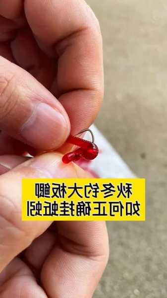 蚯蚓怎么样钓鱼视频？蚯蚓怎么样钓鱼视频讲解？-图3