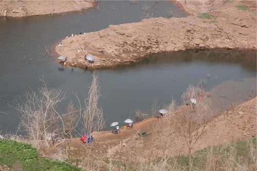 浅水塘钓鱼怎么样，浅水塘钓鱼怎么样最好钓！-图3