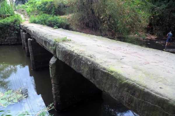 竹林水井钓鱼怎么样？竹林水井钓鱼怎么样好钓吗？-图2