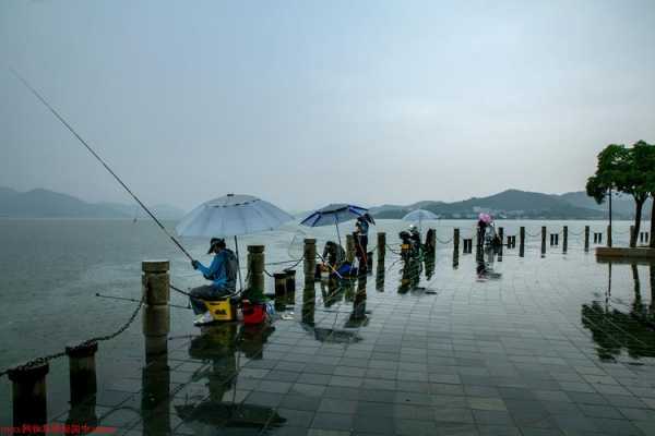 威海下雨钓鱼怎么样，威海下雨了-图1