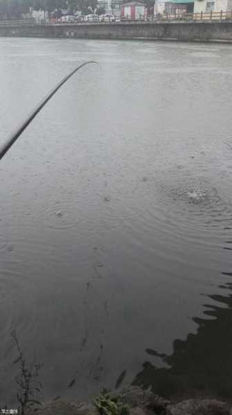 威海下雨钓鱼怎么样，威海下雨了-图3