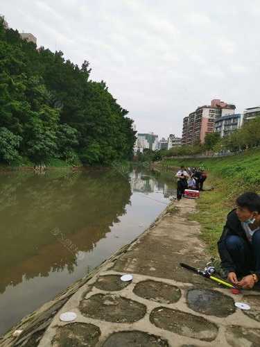 永安河钓鱼怎么样，永安镇钓鱼！-图3