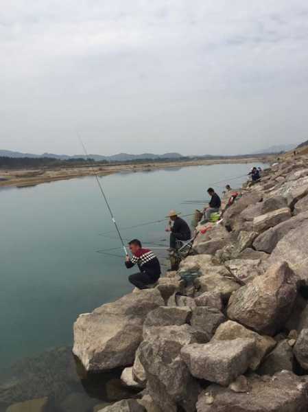 仙居沙地钓鱼怎么样，仙居钓鱼场？-图3