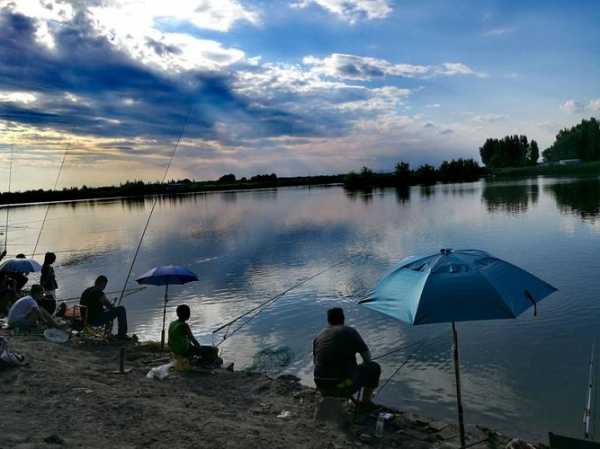 野鸭湖钓鱼怎么样，野鸭湖湿地公园钓鱼？-图1