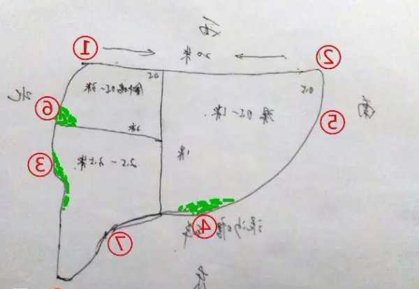 钓鱼水域怎么样，钓鱼找水域什么地图好？-图3