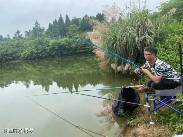 钓鱼怎么样才能赢钱，钓鱼怎样才能赚钱-图1