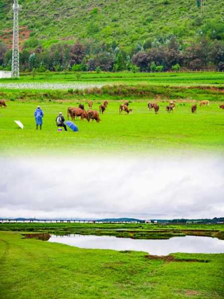 保定草原钓鱼怎么样，保定草原旅游点有几个？-图3