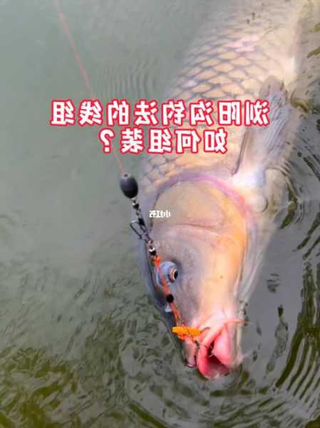 浏阳钩钓鱼怎么样？浏阳钩图片？-图3