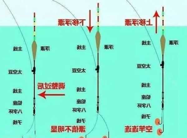 怎么样钓鱼最合适？怎么样钓鱼最合适视频教程？-图1