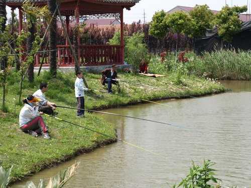 滨湖农庄钓鱼怎么样，滨湖农场-图3