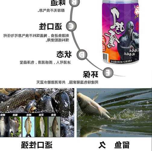 水库药酒钓鱼怎么样，药酒 钓鱼-图3