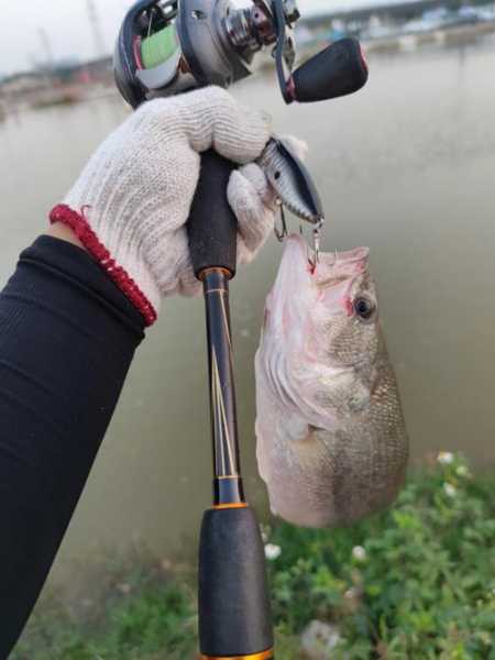 钓鱼怎么样不伤手，钓鱼怎么样不伤手呢-图2