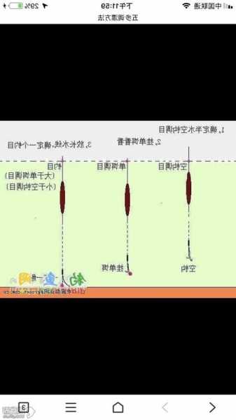 新式浮漂钓鱼怎么样，新漂怎么调漂？-图2