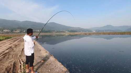 竹杆水库钓鱼怎么样，竹杆水库钓鱼怎么样好钓吗？-图3