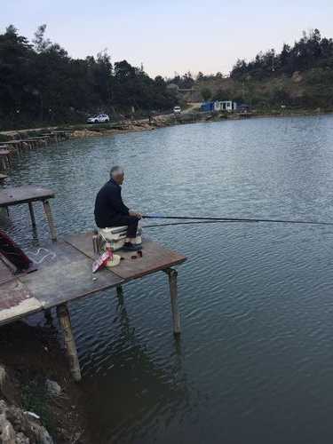 瑞安中洲钓鱼怎么样，瑞安中洲钓鱼怎么样好玩吗？-图2