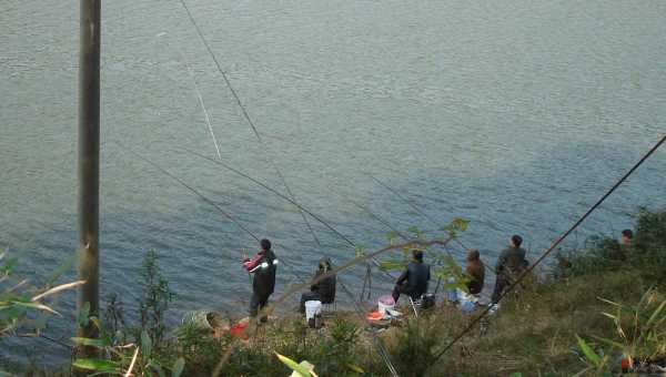 惠阳钓鱼新手怎么样，惠阳区免费钓鱼水库-图3