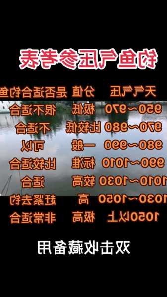 气压893钓鱼怎么样，988的气压能钓鱼吗?！-图3