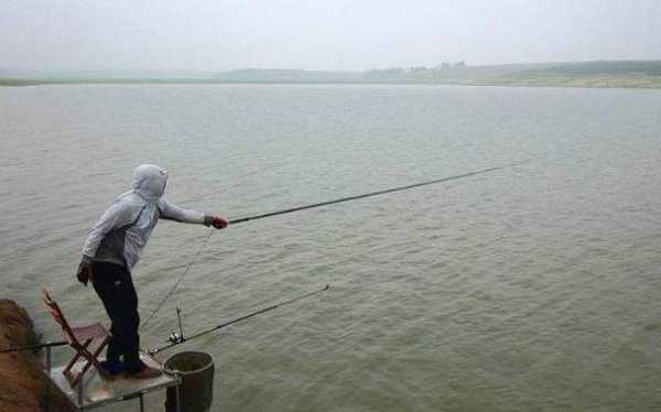 初夏北风钓鱼怎么样，初夏北风钓南岸还是北岸！-图1