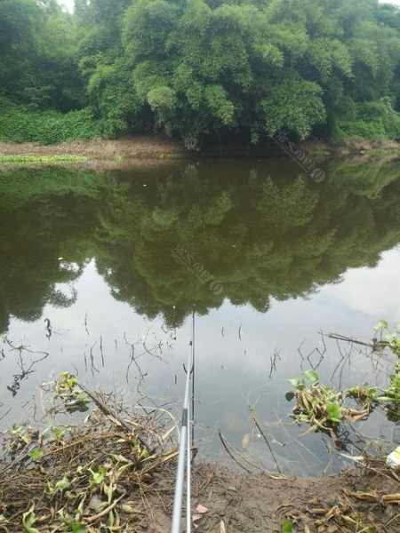 乐至泥鳅钓鱼怎么样，乐山泥溪河哪里好钓鱼吗？-图3