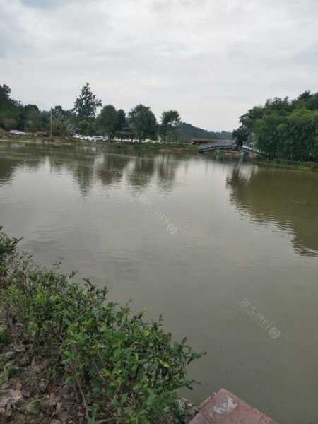 三一农场钓鱼怎么样，三一水库在哪！-图3