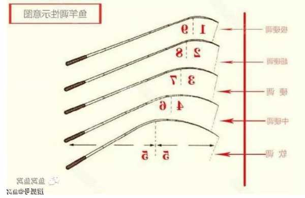 钓鱼m杆怎么样，m钓鱼竿是什么意思！-图3